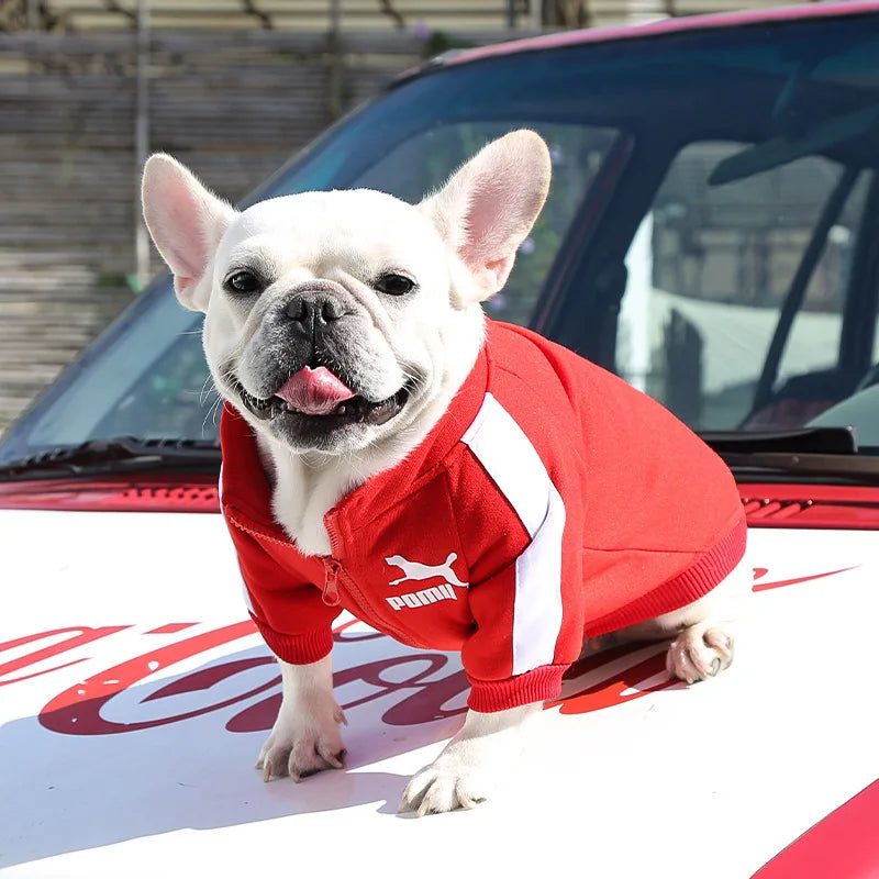 Baseball Dog Jacket – Cozy Winter Pet Clothes