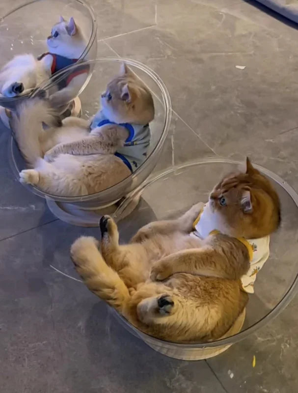 ClearPod Capsule Cat Bed