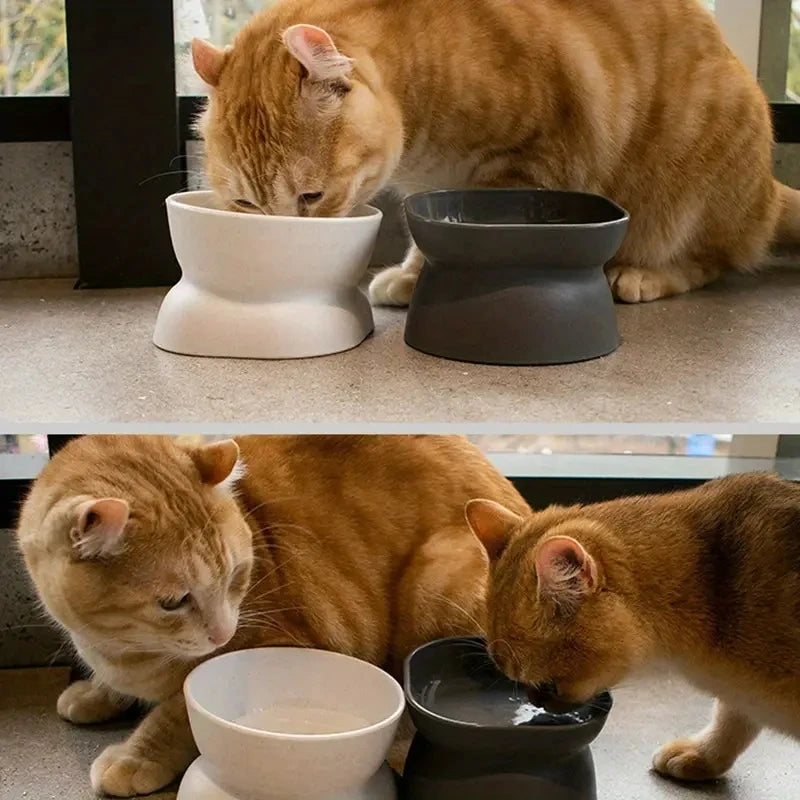 Anti-Rollover, Wide-Opening Feeding Bowl for Cats