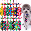 Colorful Pet Neckties Pack (10pcs)