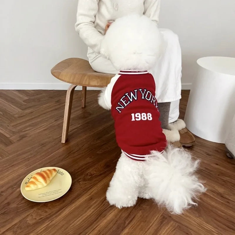 Varsity Cozy Dog Sweatshirt