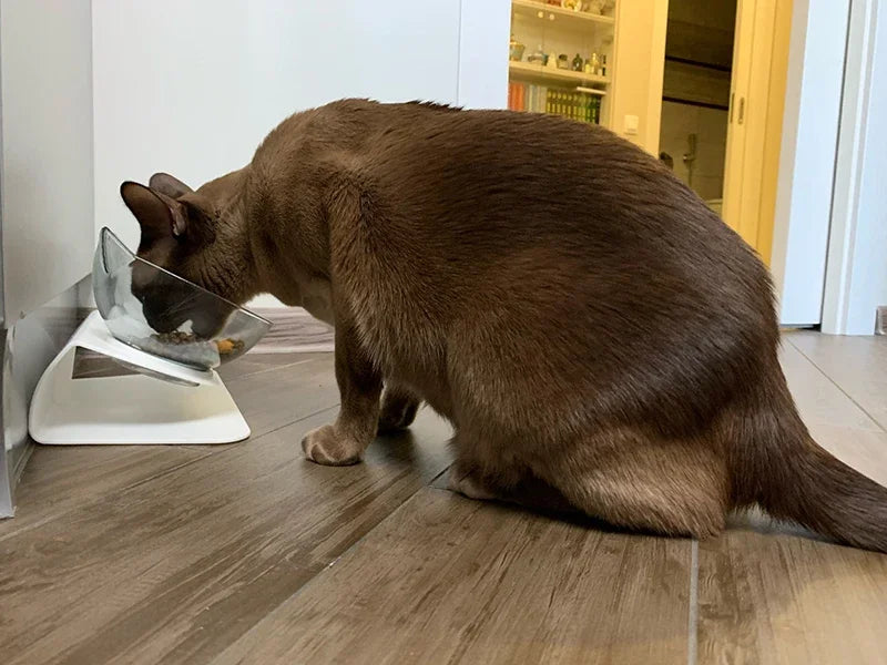 Detachable Food & Water Bowl Set for Cats & Small Dogs