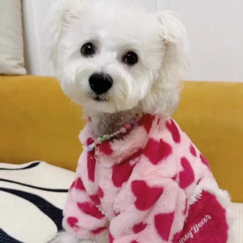 Sweetheart Snuggle Hoodie