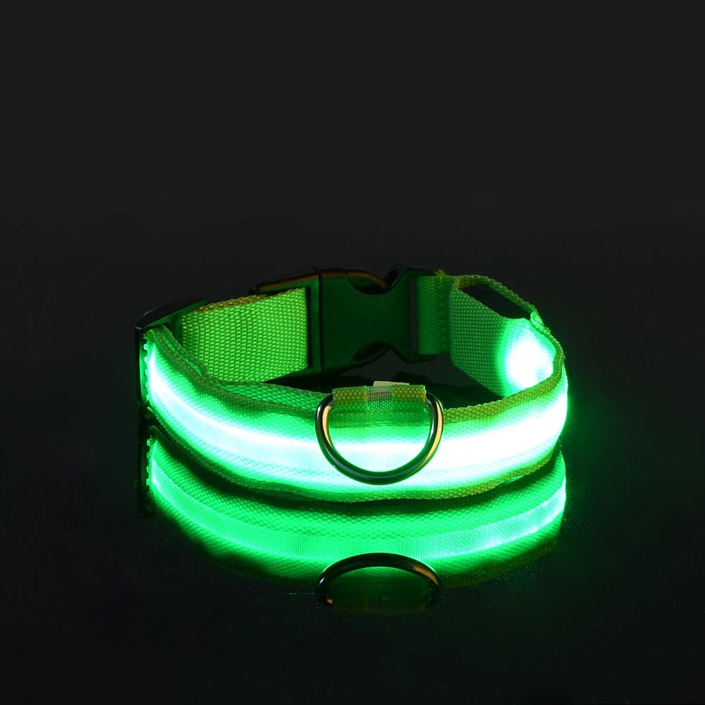 Necklace for Paws: Night Glow Collar