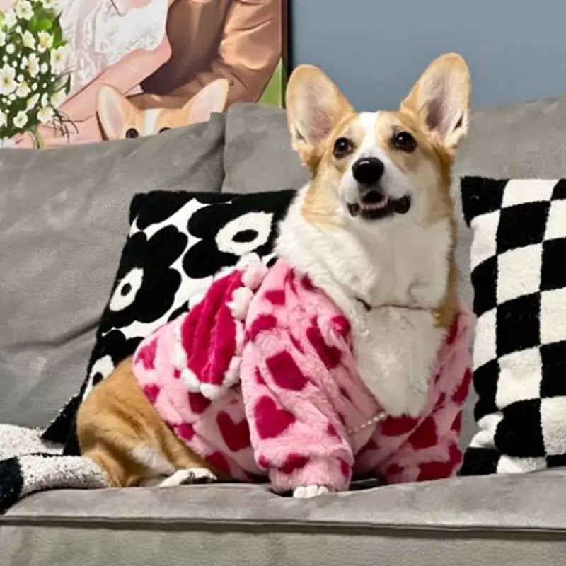 Sweetheart Snuggle Hoodie