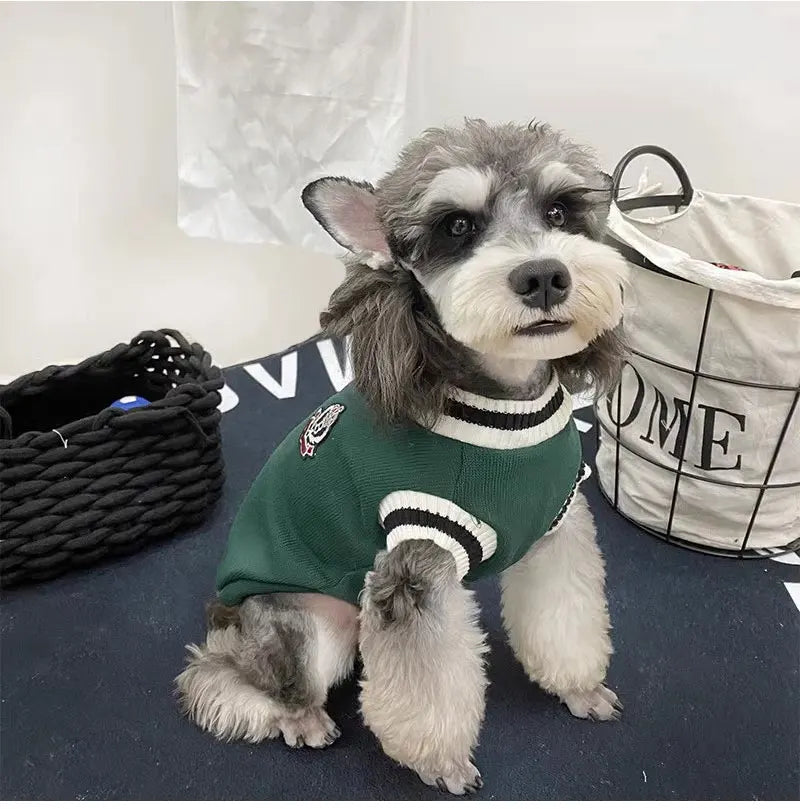🐶Cozy V-Neck Knit Sweater