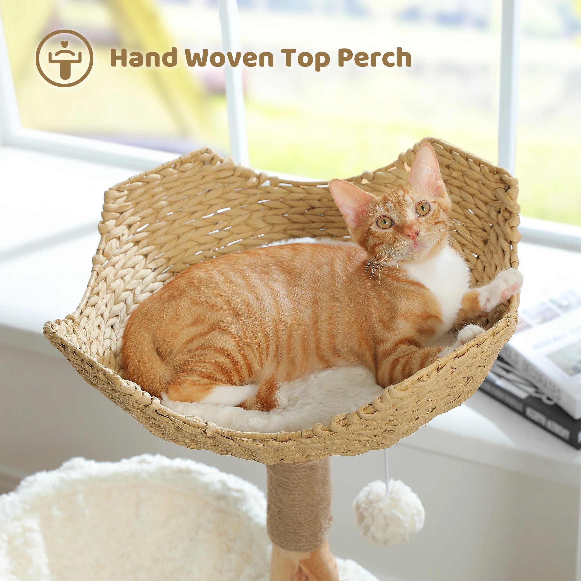 Modern Natural Wood Cat Tree with Wicker Basket & Deep Hammock – Luxury Indoor Cat Tower with Spacious Condo