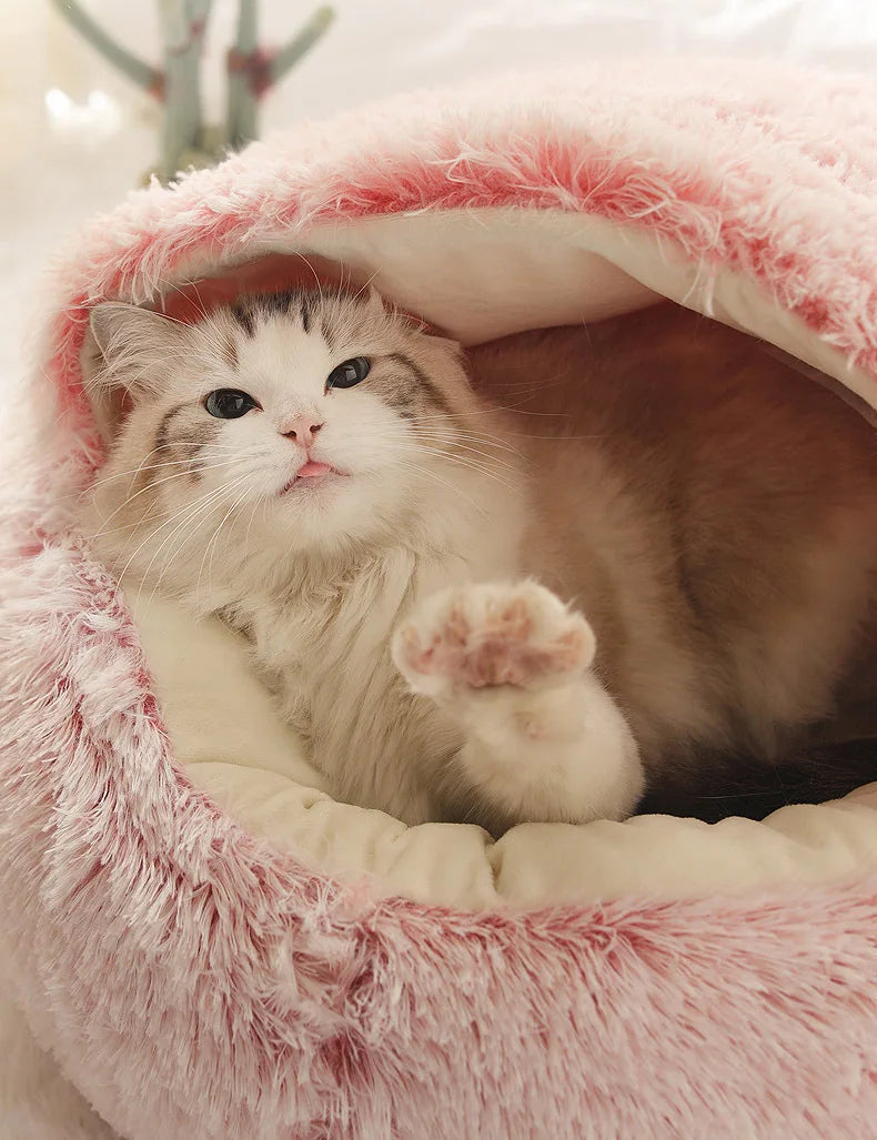 Plush Shell Haven Pet Bed
