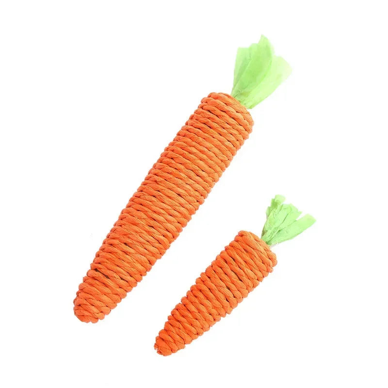 🥕Squeaky Carrot Cat Toy