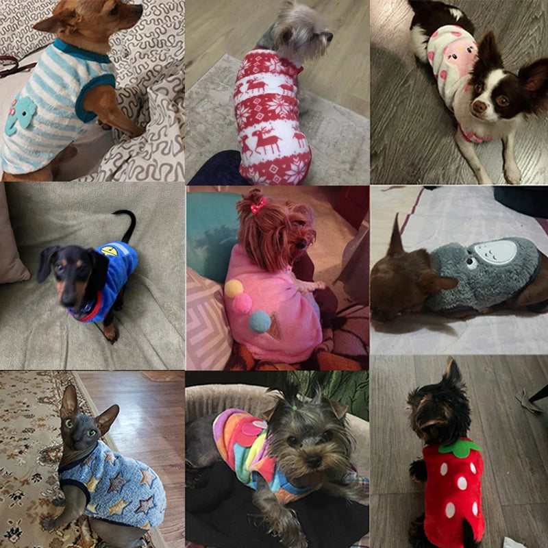 Winter Fleece Pet Vest for Small Dogs & Cats (XXS–XL)
