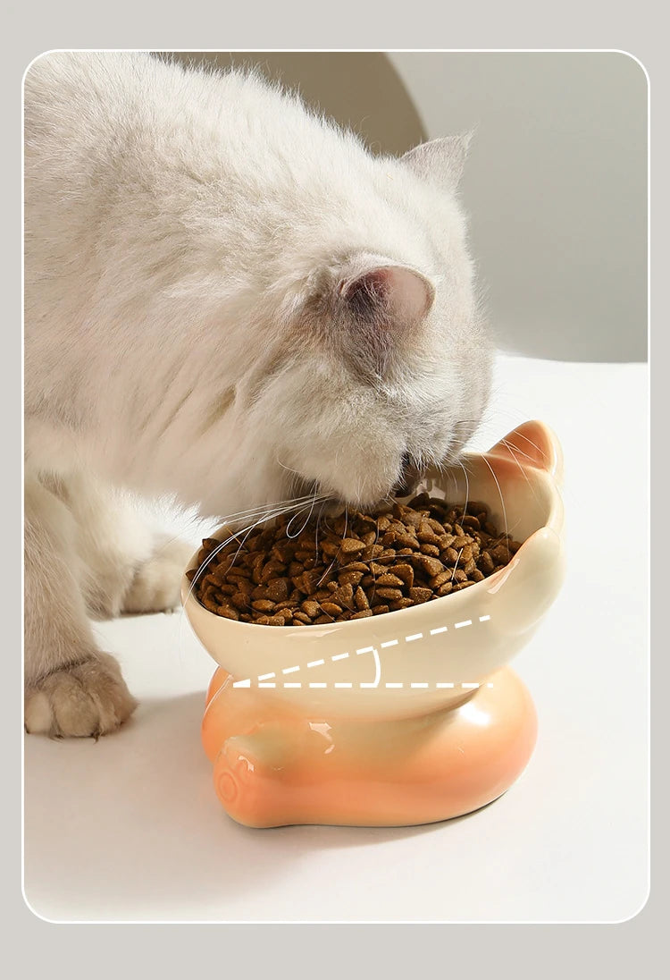 Gradient Ceramic Elevated Cat Bowl with Slanted Mouth