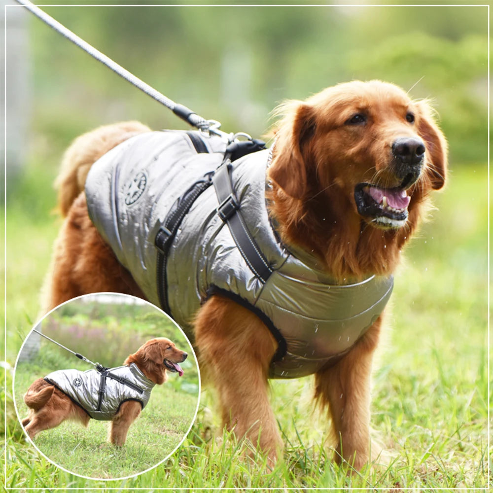 🐕‍🦺WinterWarm Elite Harness Jacket