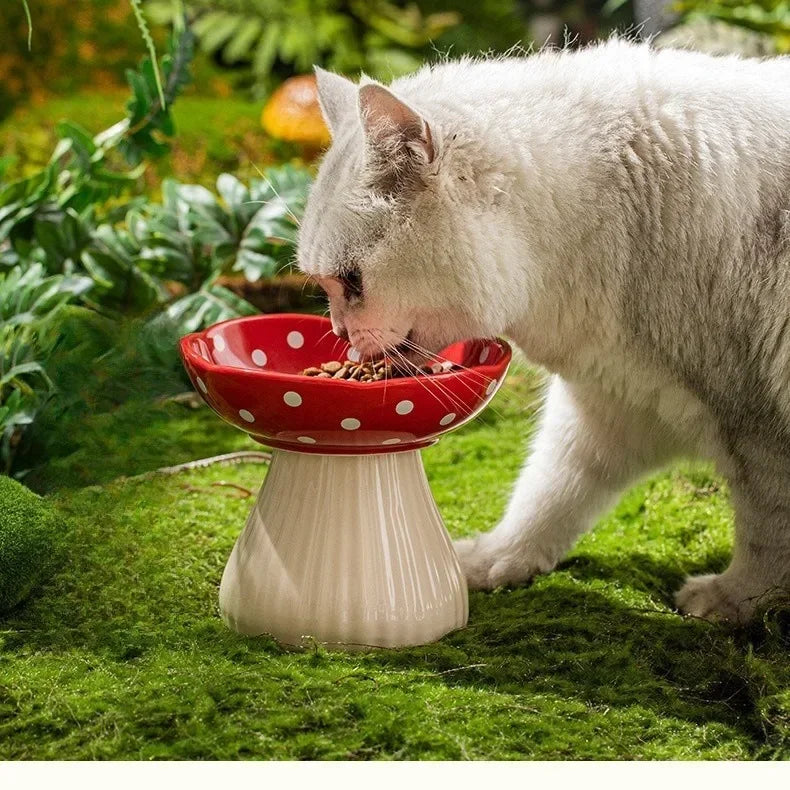 Mushroom-Shaped Elevated Cat Bowl