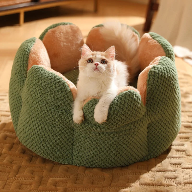 Cactus Flower Cat Bed (Plush Pet Nest for Cozy Naps) 🌵🌸🐱
