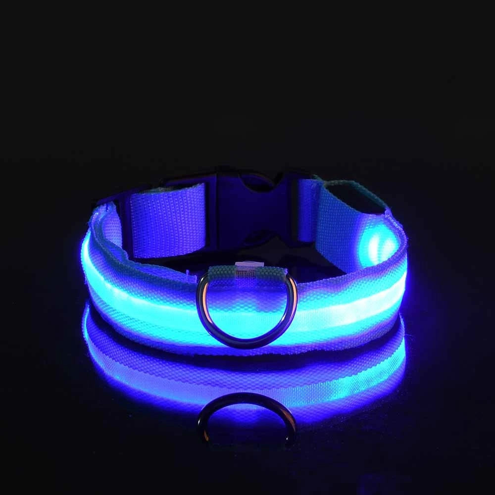Necklace for Paws: Night Glow Collar