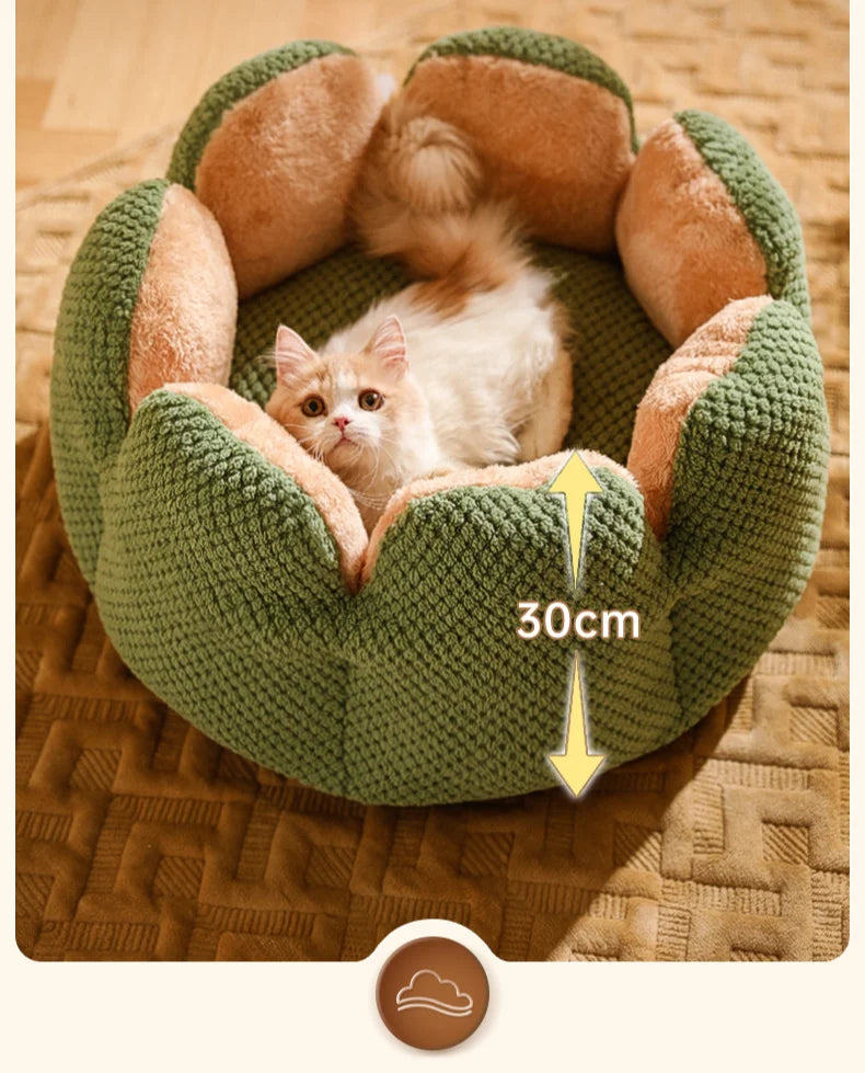 Cactus Flower Cat Bed (Plush Pet Nest for Cozy Naps) 🌵🌸🐱