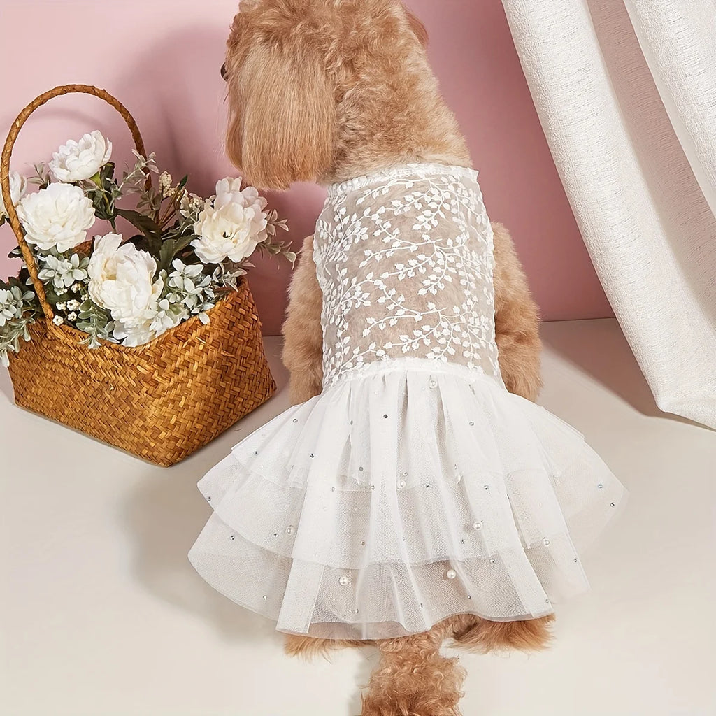 Pet Wedding Tulle Dress (Spring/Summer) 👰🐾✨