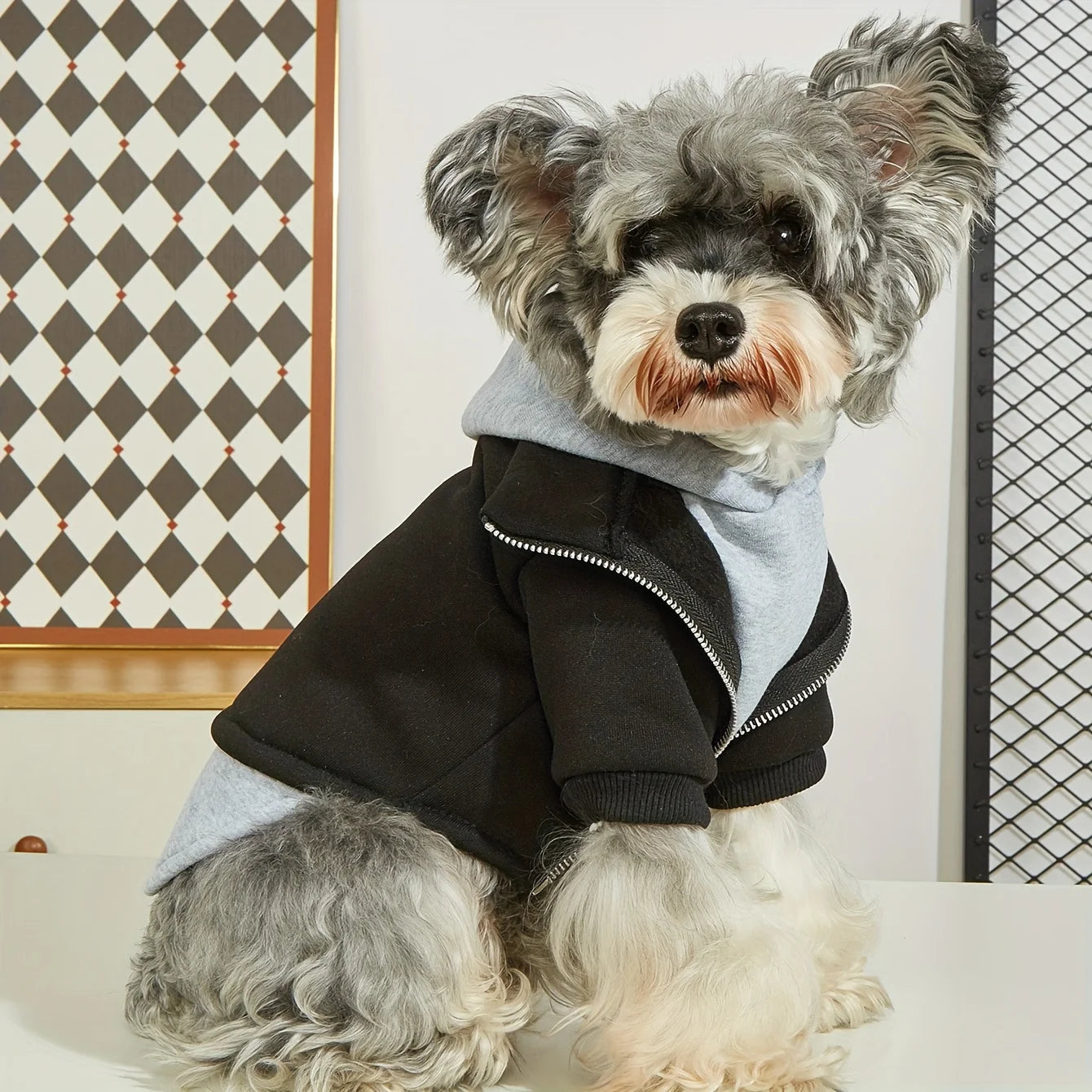 ClassicLayer Pet Hoodie