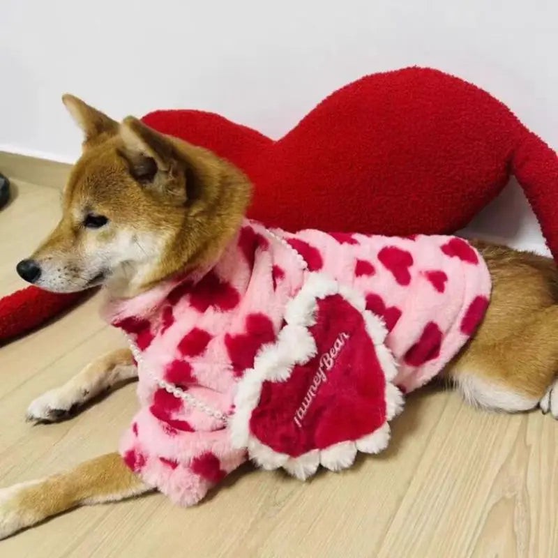 Sweetheart Snuggle Hoodie
