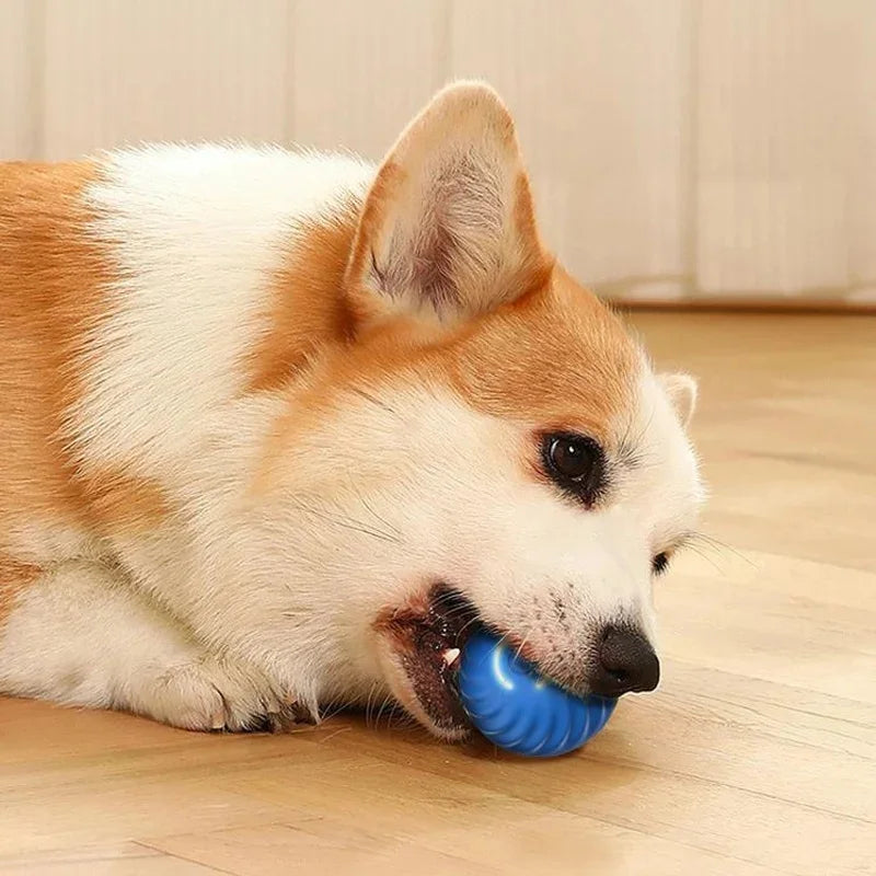 Smart Jump Ball Interactive Pet Toy (USB-C Rechargeable)