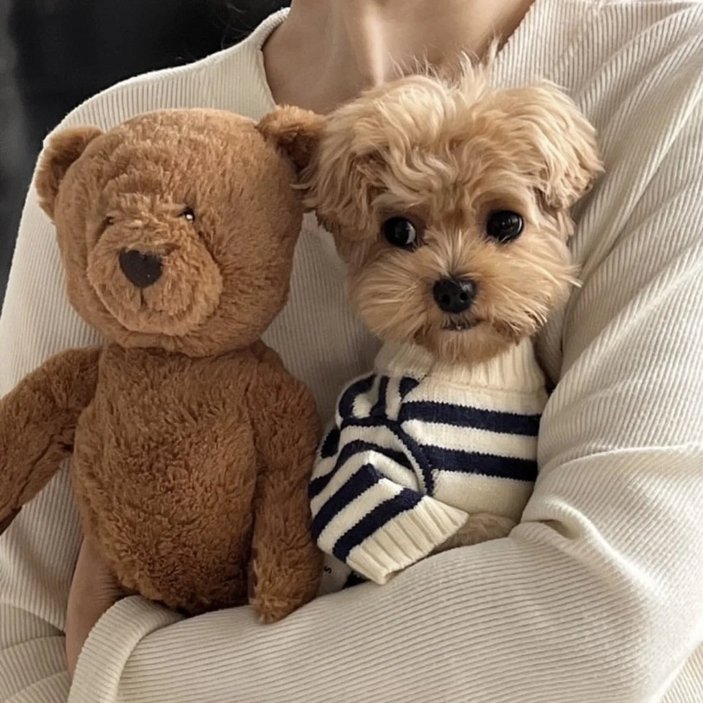 Striped Wool Dog Sweater (Autumn/Winter)