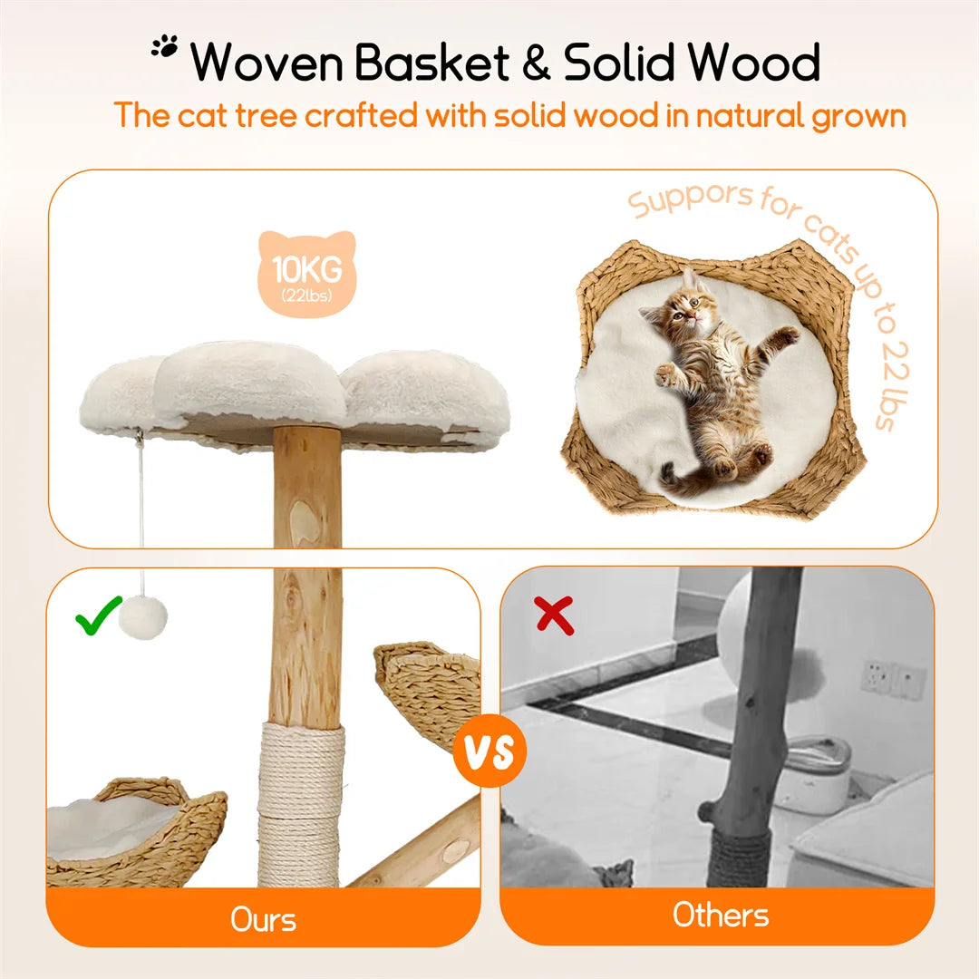 Modern Solid Wood Activity Tower for Indoor Cats