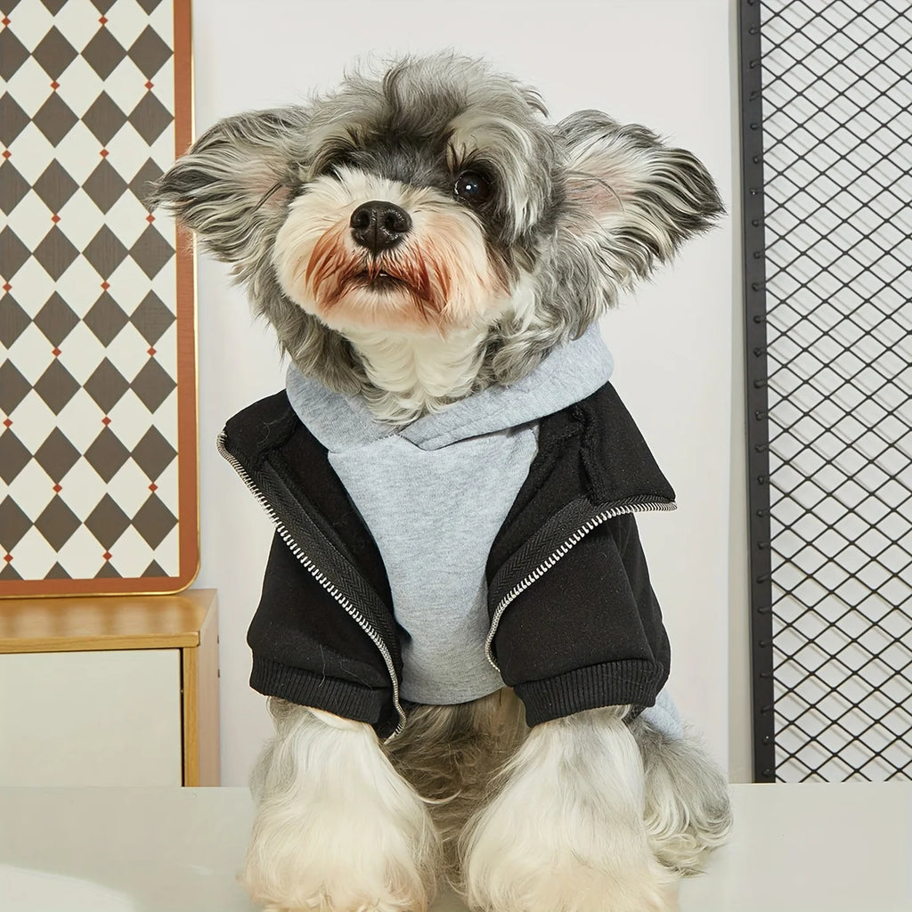 ClassicLayer Pet Hoodie