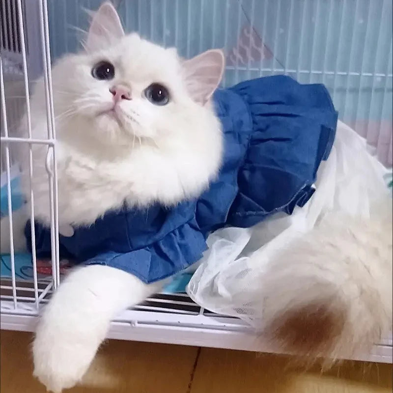 Denim & Tulle Bow Pet Dress (Spring/Summer) 🎀👗