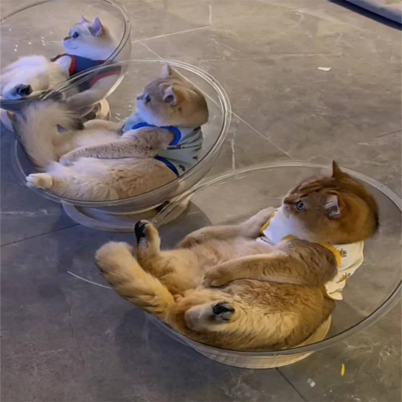 ClearPod Capsule Cat Bed