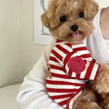 Teddy Stripe Tee (Breathable Summer Pullover for Small Dogs & Cats) 🐻🖤🤍