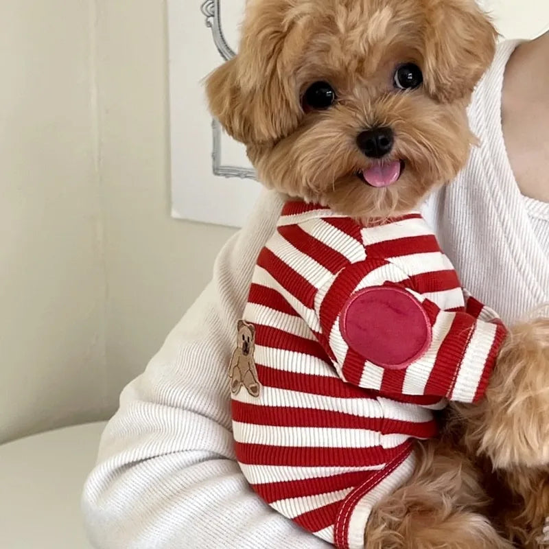 Teddy Stripe Tee (Breathable Summer Pullover for Small Dogs & Cats) 🐻🖤🤍