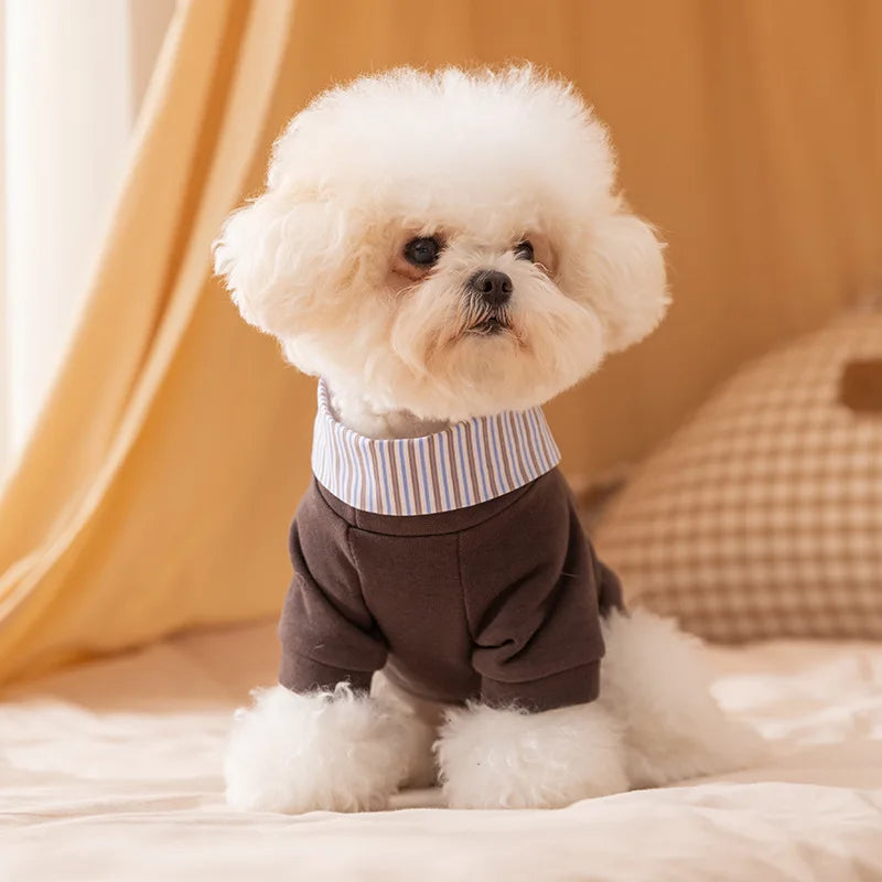 Bear Chic Puppy Hoodie – Cozy Autumn & Winter Pullover for Dogs & Cats