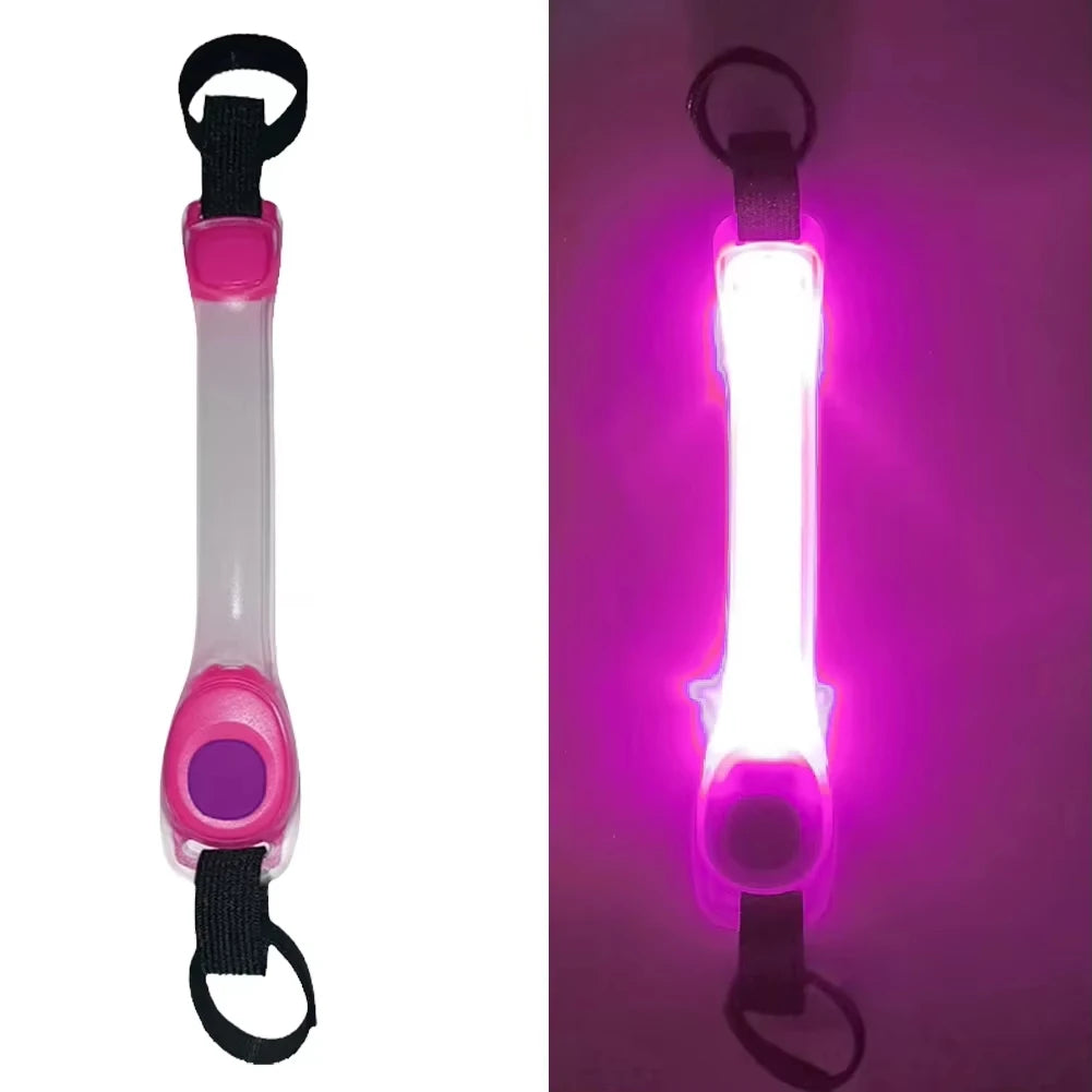 NightGlow LED Safety Light for Dog Collar/Leash (Multi-Color)