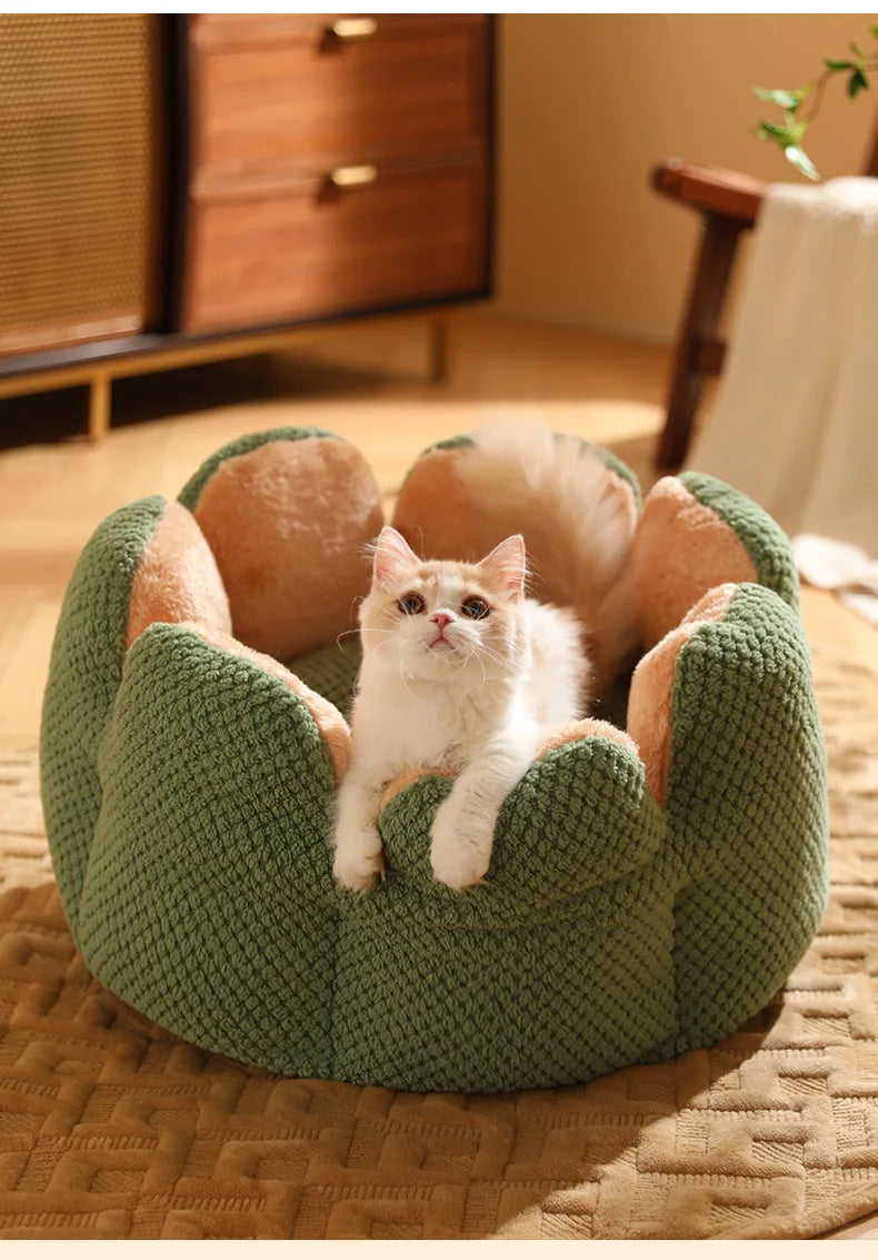Cactus Flower Cat Bed (Plush Pet Nest for Cozy Naps) 🌵🌸🐱