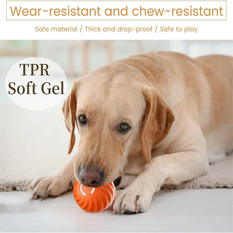 Smart Jump Ball Interactive Pet Toy (USB-C Rechargeable)