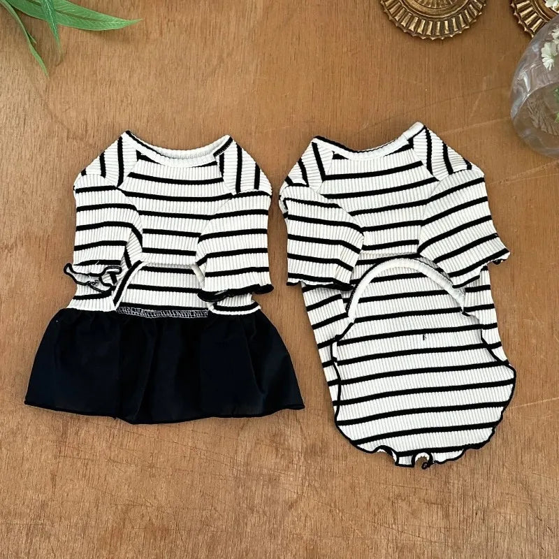 Stripe Bow Princess Pet Dress (Black & White Summer Outfit for Small Dogs) 🎀🖤🤍