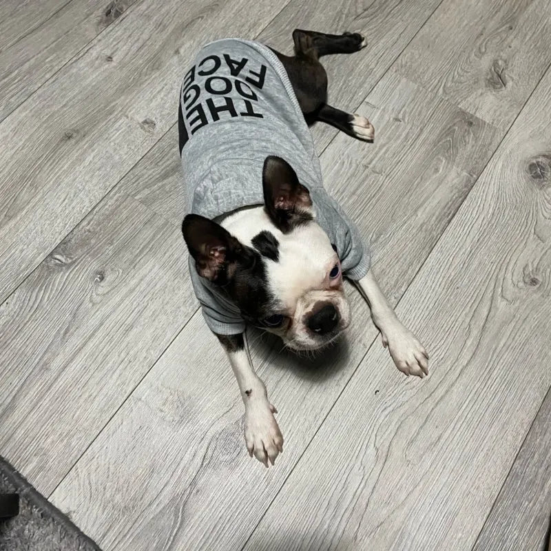 UrbanWarm Pet Hoodie Jacket