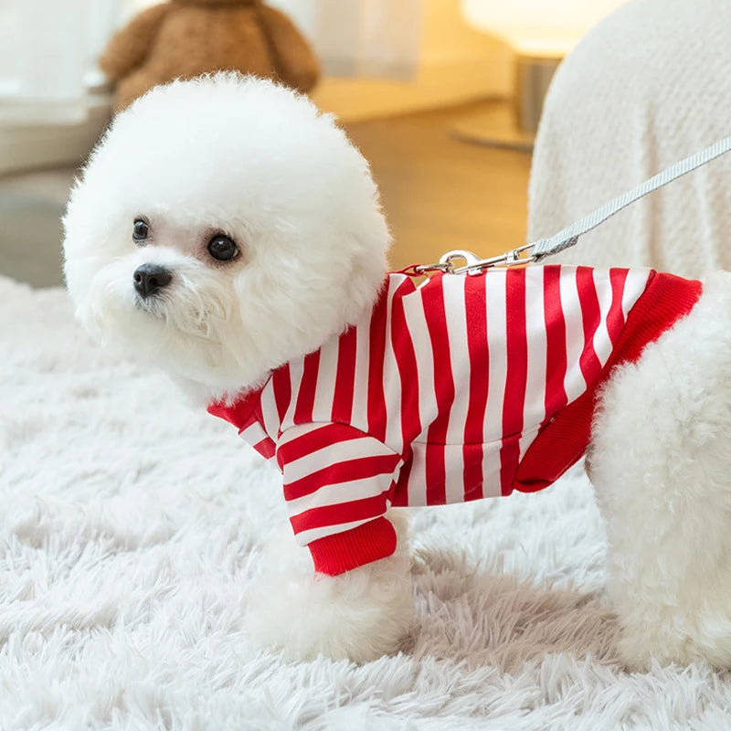 Winter Cartoon Dog Hoodie Sweatshirt (XS–XXL)