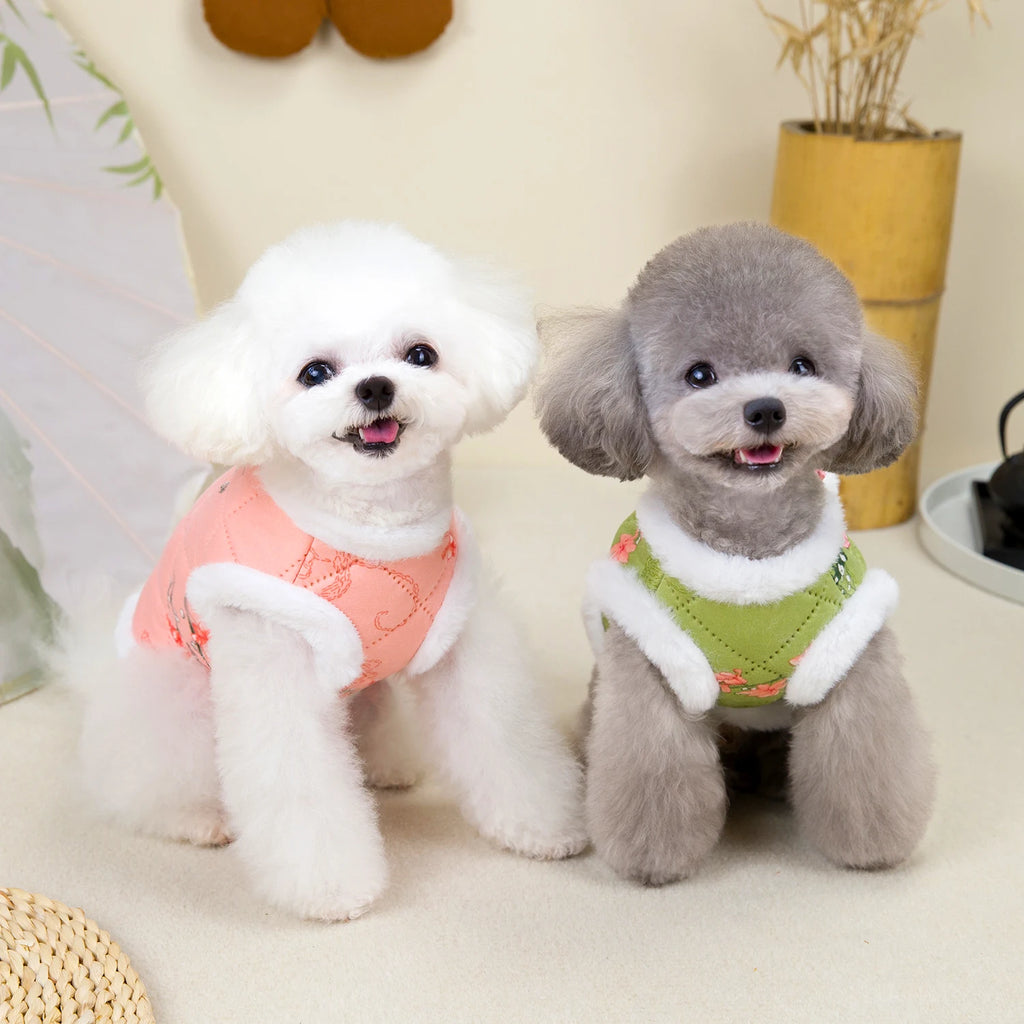 Chinese New Year Tang Suit Warm Dog Vest Jacket 🧧🐶✨