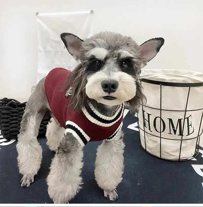 🐶Cozy V-Neck Knit Sweater