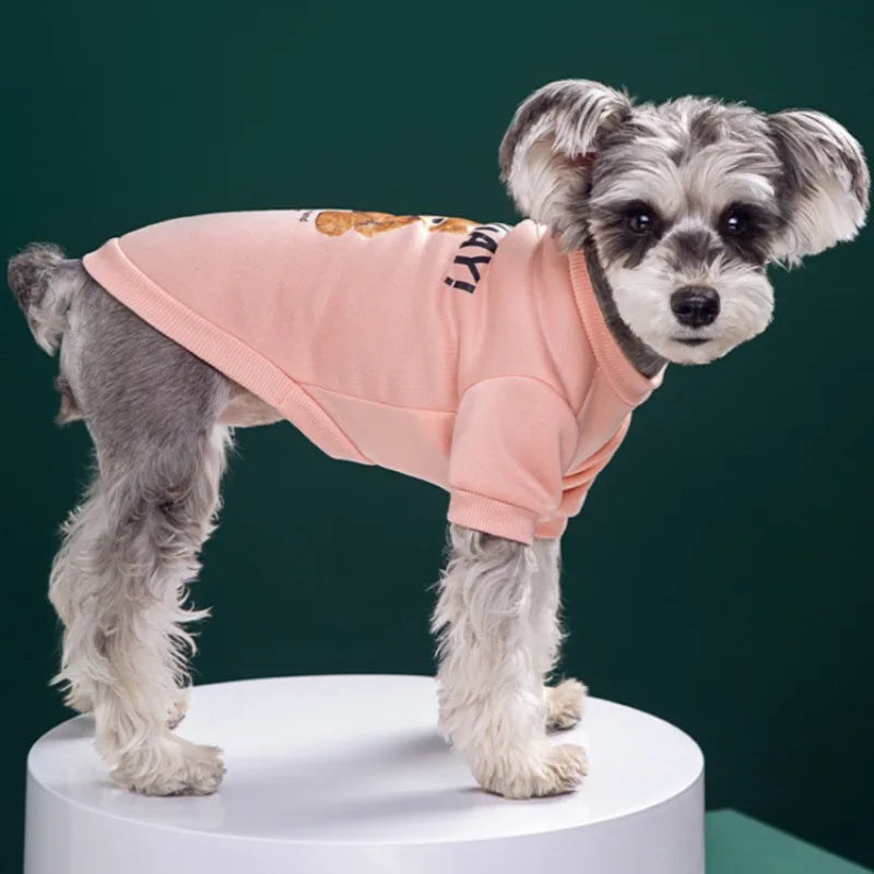CozyBear Pet Pullover