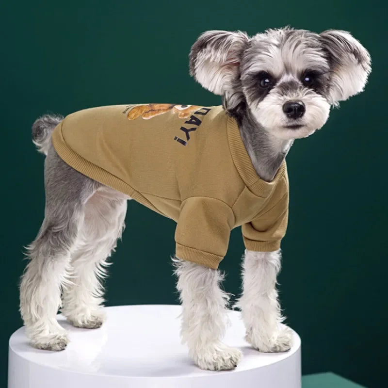 CozyBear Pet Pullover