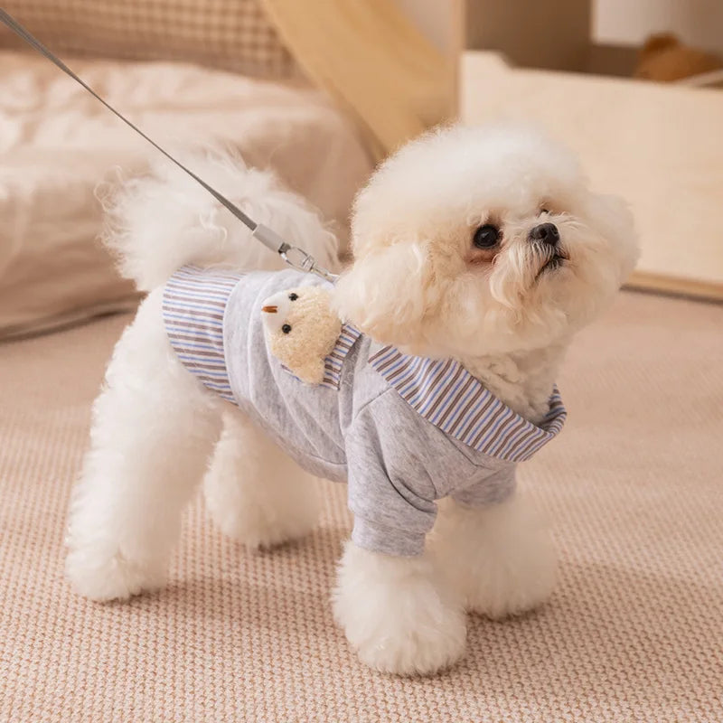 Bear Chic Puppy Hoodie – Cozy Autumn & Winter Pullover for Dogs & Cats