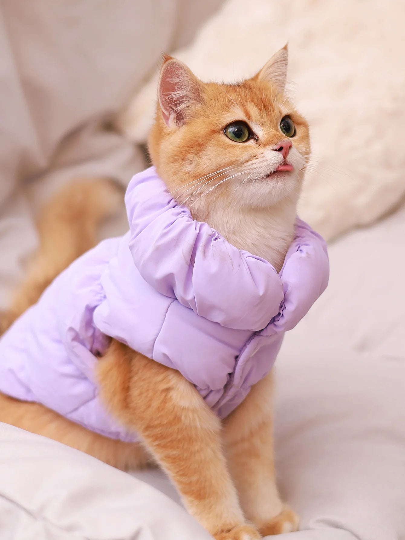 Winter Dog Jacket Warm Coat