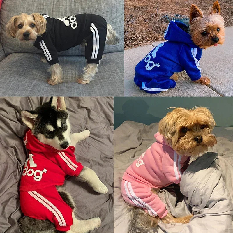 Sport Hoodie Dog Jumpsuit (4-Leg) 🐶✨