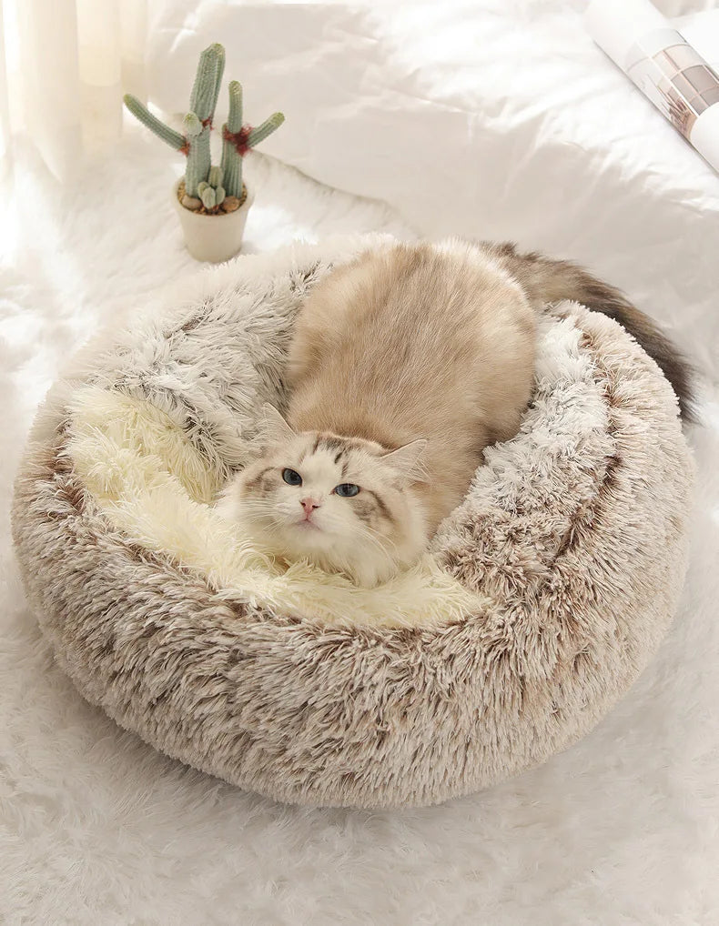 Plush Shell Haven Pet Bed