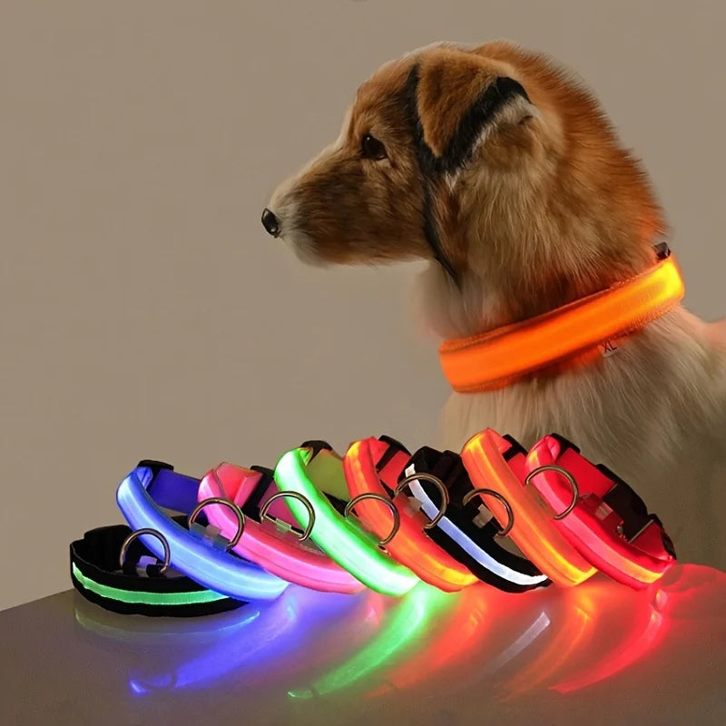 Necklace for Paws: Night Glow Collar