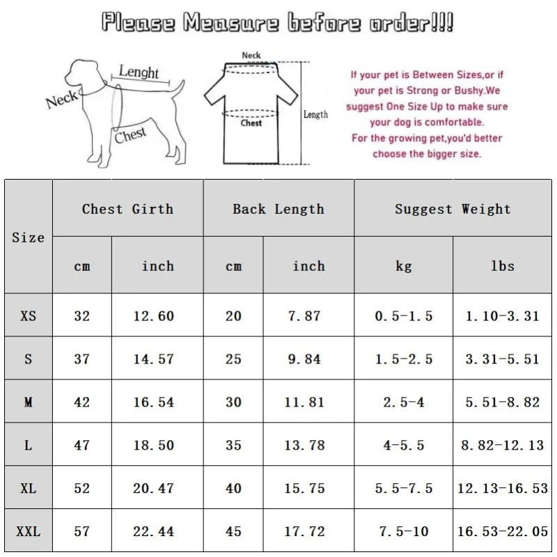 Bear Chic Puppy Hoodie – Cozy Autumn & Winter Pullover for Dogs & Cats