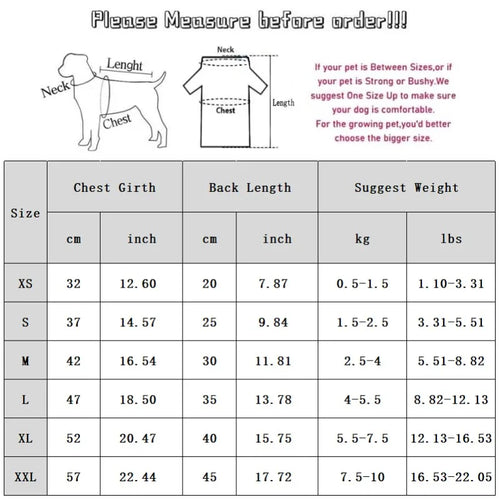 Bear Chic Puppy Hoodie – Cozy Autumn & Winter Pullover for Dogs & Cats