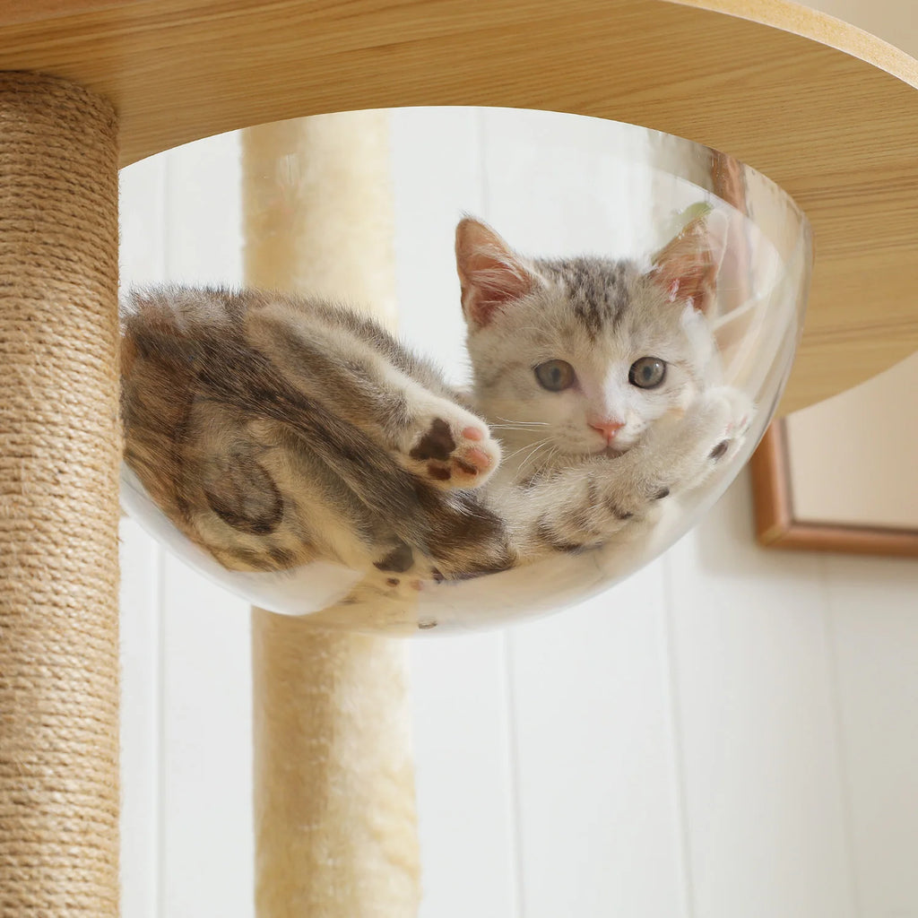 Multi-Level Wooden Cat Tree Tower with Condo, Hammock & Scratching Posts